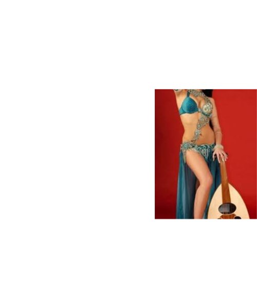 Sexy belly dance costume