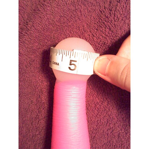 Bulb Circumference