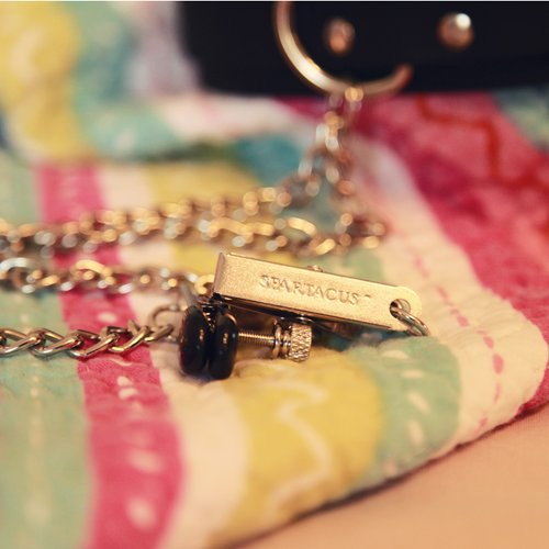 collar2