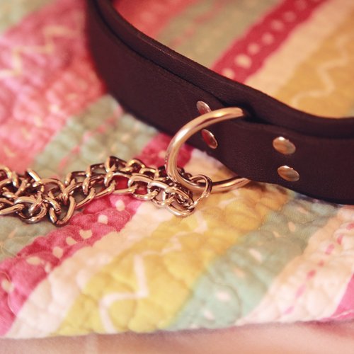 collar4