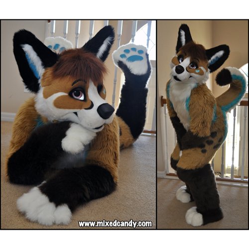 "Cassie" Fursuit by MixedCandy