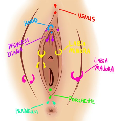 vagina piercings